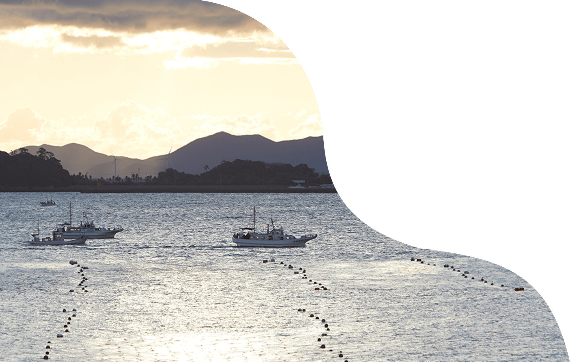 海老煎餅は知多からの〝ご褒美〟